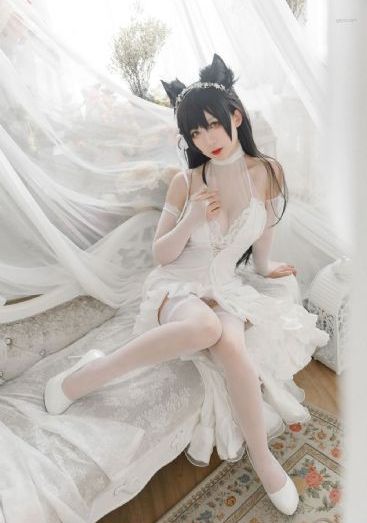 美女的诞生高清视频在线观看